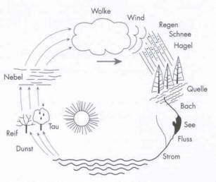 Wasserkreislauf